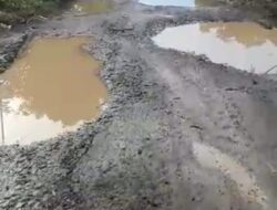 Jalan Desa Lepang Besar Rusak Parah, Pemerintah Daerah Lampung Utara Tak Kunjung Perbaiki 