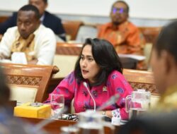 Wacana Luhut Soal Kewarganegaraan Ganda, Christina Aryani: Angin Segar